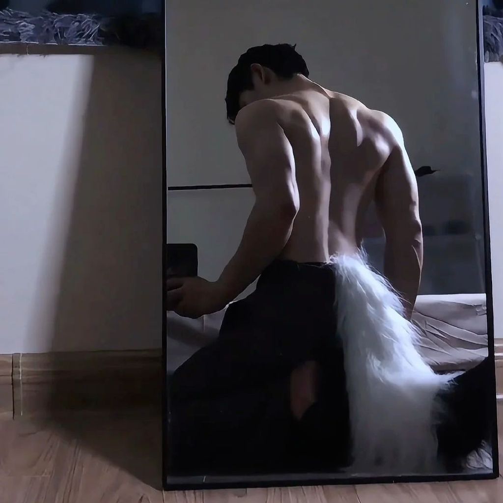 罐头聊情感