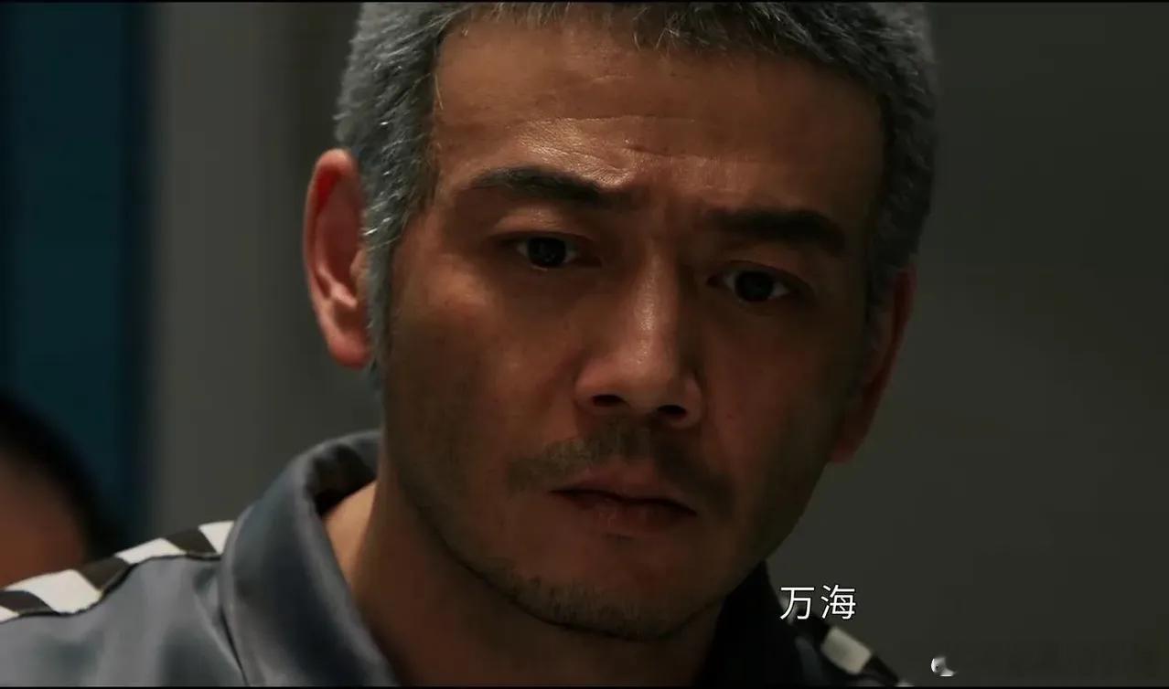 电视剧《以法之名》万海应该是全剧最冤的，本来老老实实顶罪坐个几年牢就出来了。结果
