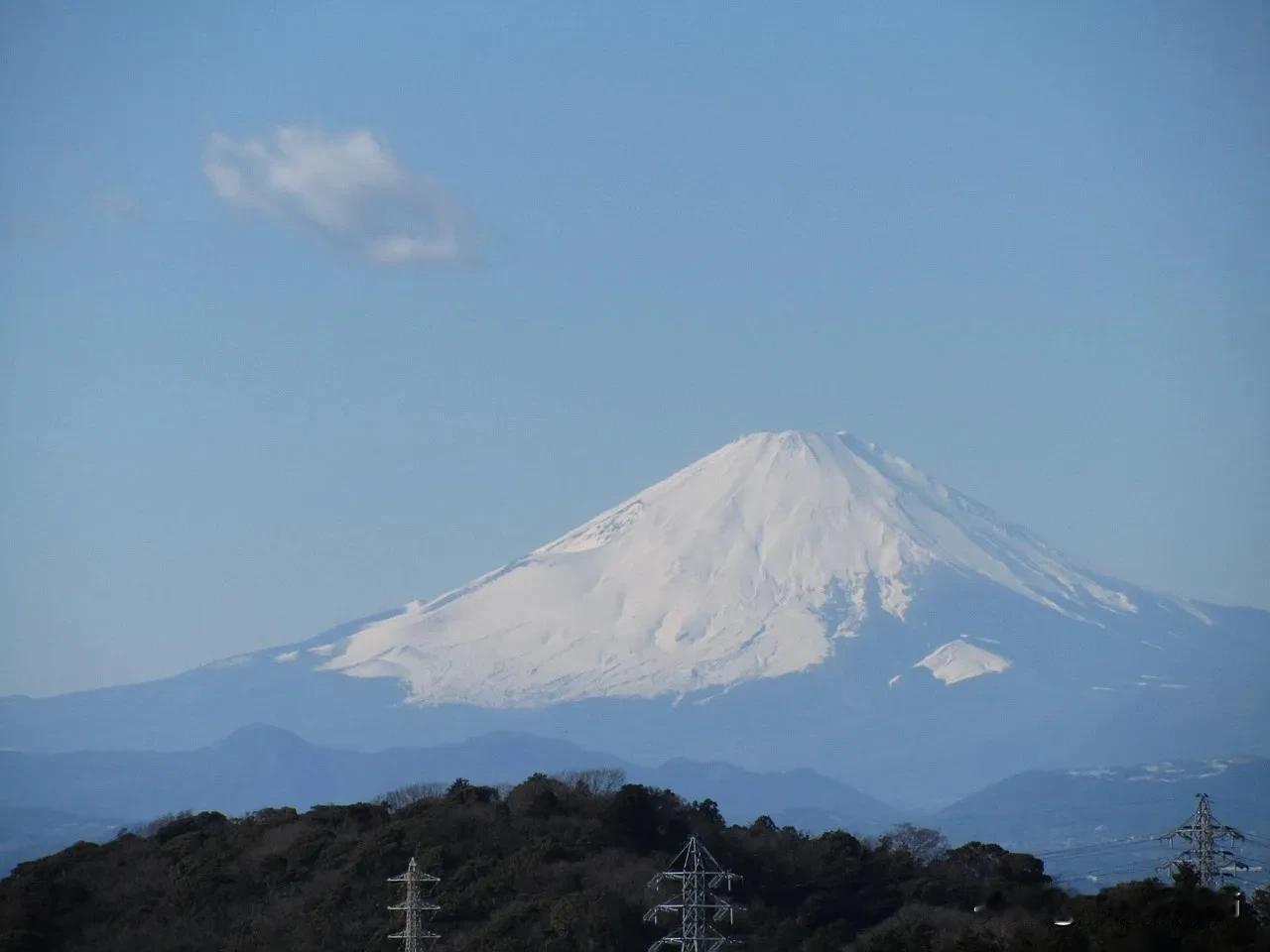 假冒伪劣产品
山东拆村