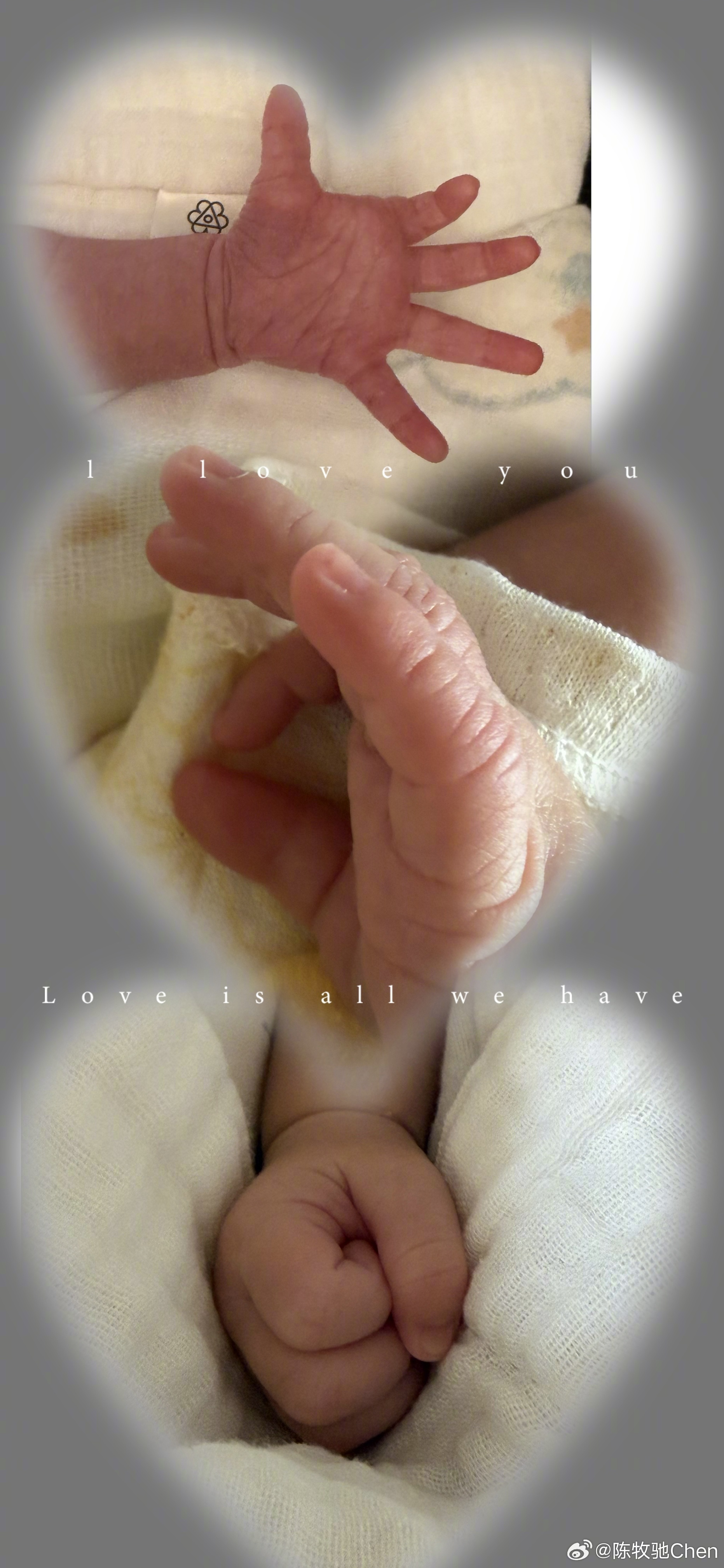 陈牧驰陈冰结婚生子陈牧驰陈冰晒与小孩碰拳照  曾在《封神三部曲》中饰演殷郊的演员