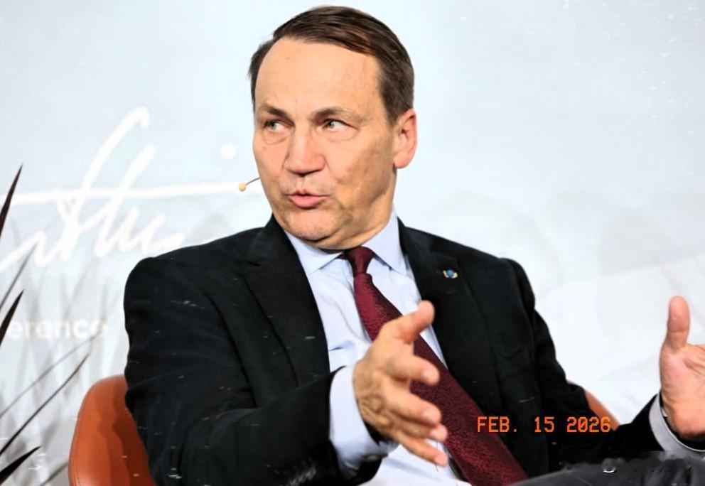 波兰终于撕破脸了，忍不住说出了心里话！2月13日在德国慕尼黑安全会议上，波兰副总