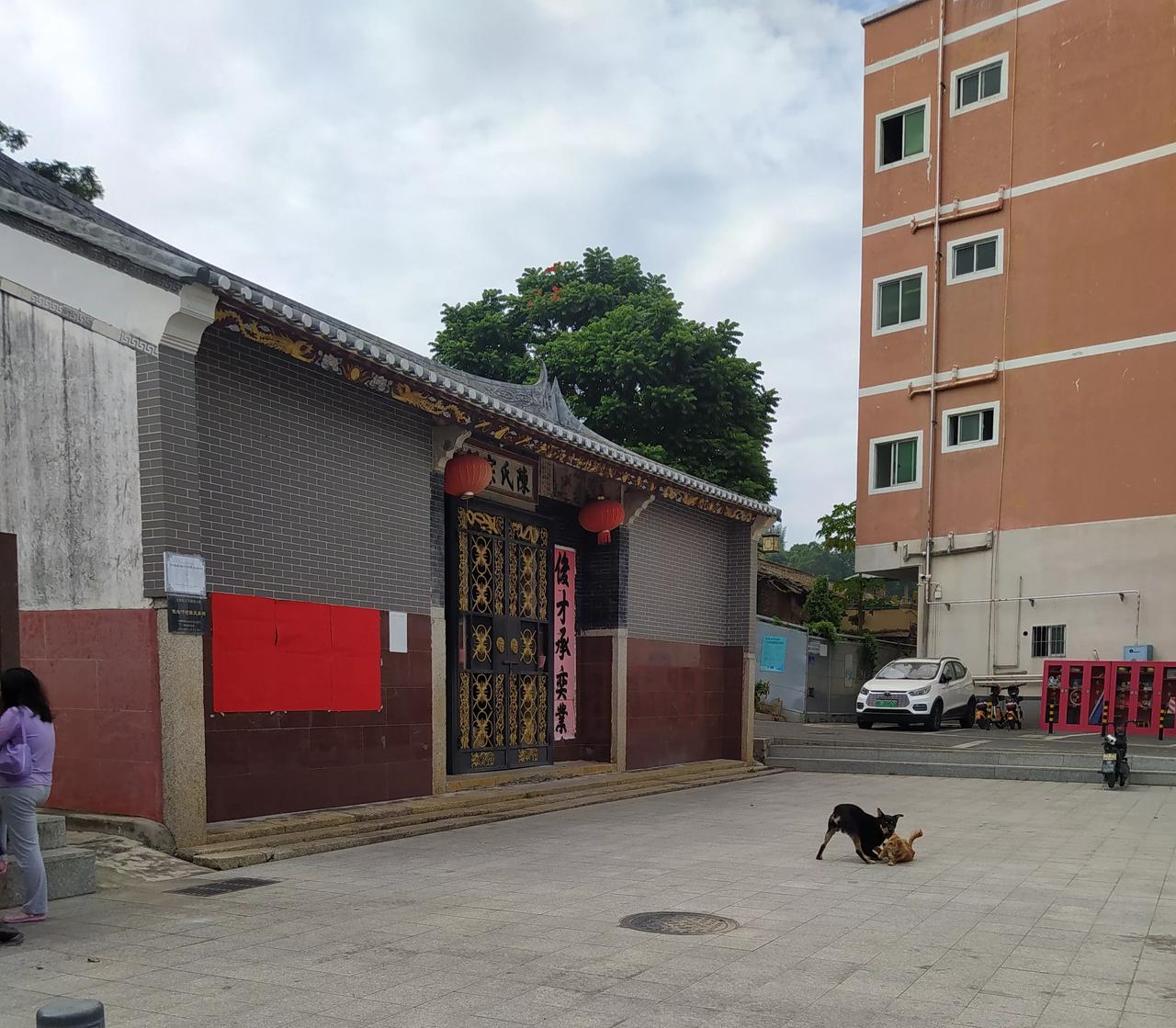 这是俄地吓村口的陈家祠堂。有两个狗在前面欢快的打着玩。
这是流浪狗还是村民散养的