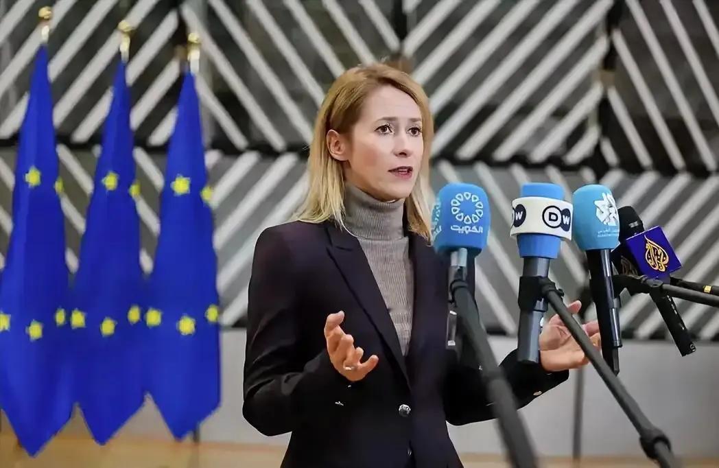 欧洲又添一傻，大家都知道欧洲波罗的海有三傻，而欧盟外长卡拉斯则是个人第一傻，这样