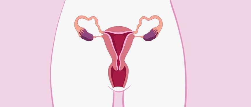 谁能告诉我，子宫切了之后，夫妻生活真的就彻底废了吗？


我三十八岁，半年前因为