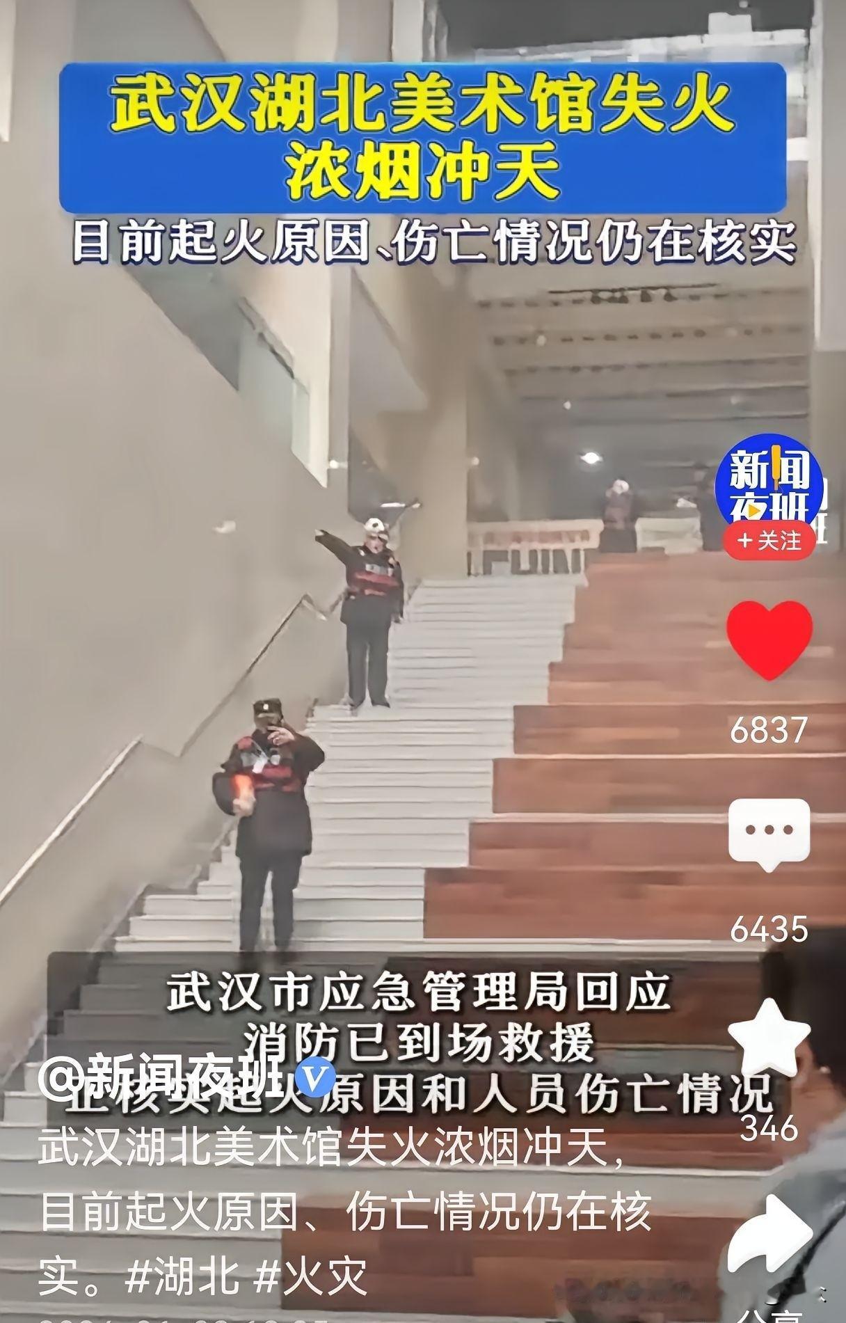 这剧本写的，连三流编剧都嫌俗套！

湖北美术馆这一把火，烧得那是相当有“水平”。