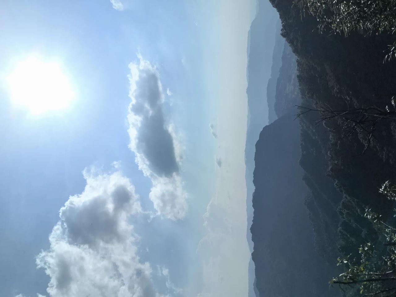 分享一张你最近随拍的照片