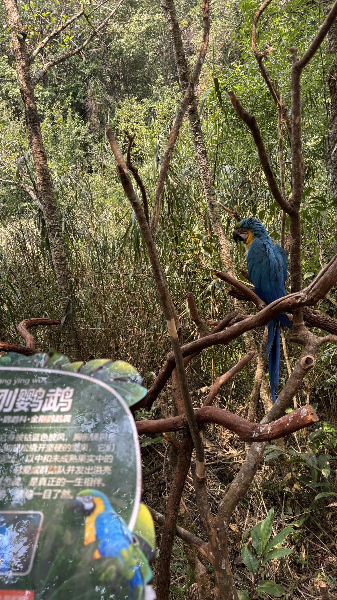 我的今日状态：🏝️旅行度假
我这里的天气：☀️晴天

昨天上午去了普洱的太阳河