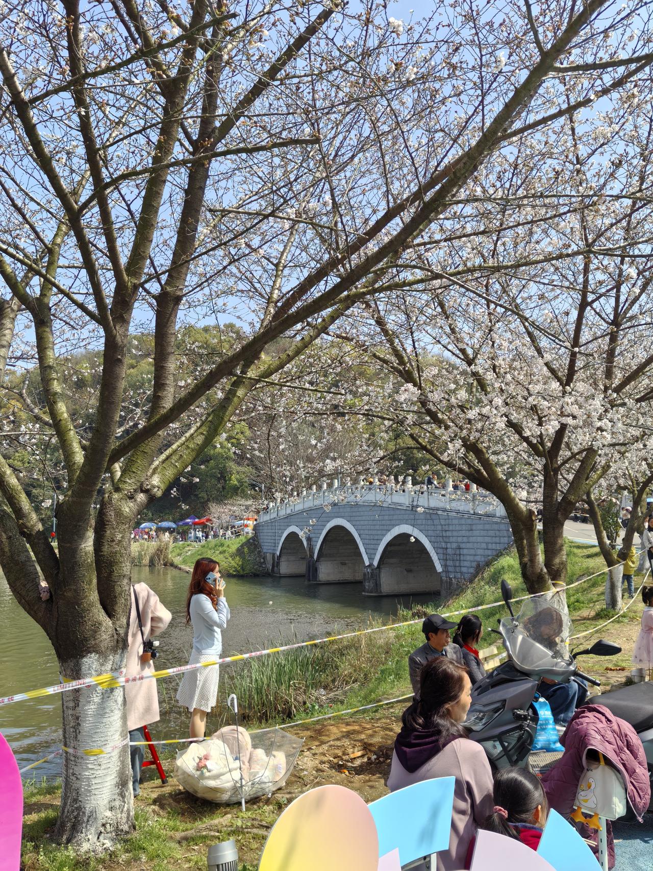 晒图笔记大赛 户外赏樱花简直太美妙啦！前几天去公园，被一阵淡淡的水果香甜味吸引，