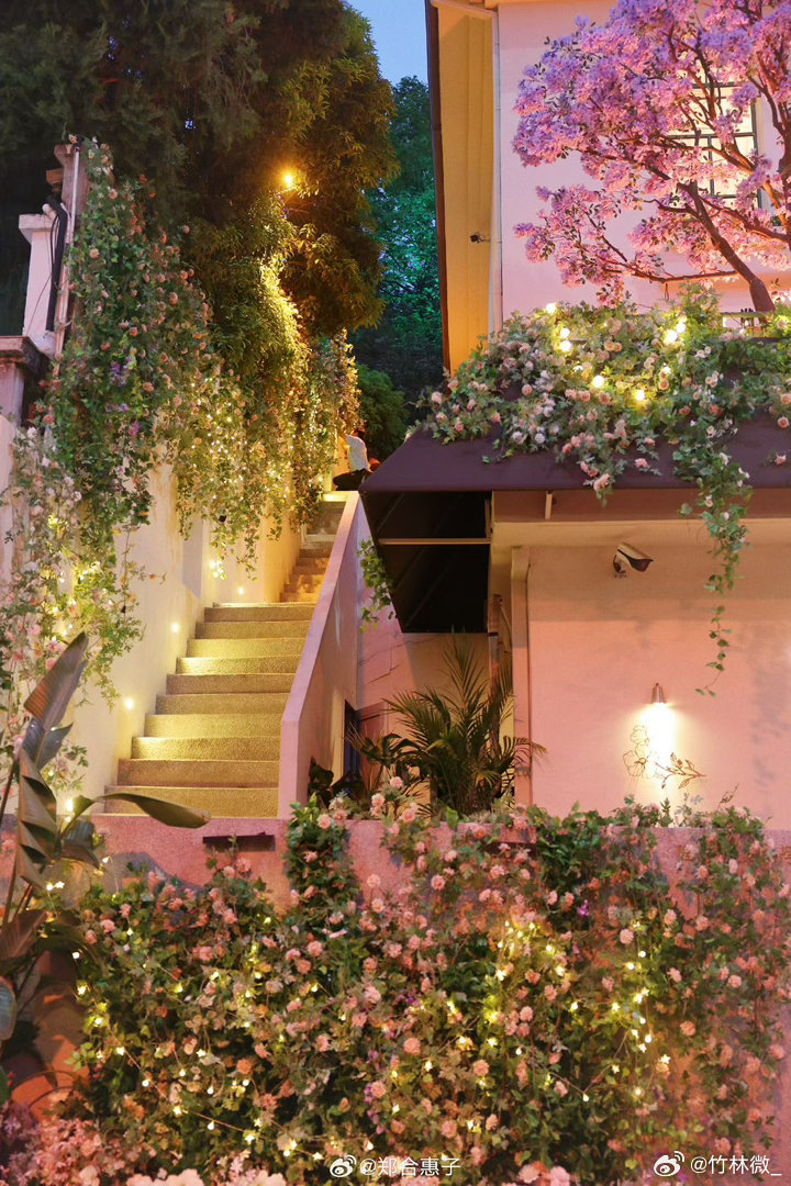 魏哲鸣郑合惠子被杭州包邮了在杭州地铁都能看到《你是迟来的欢喜》，剧在杭州取景，两