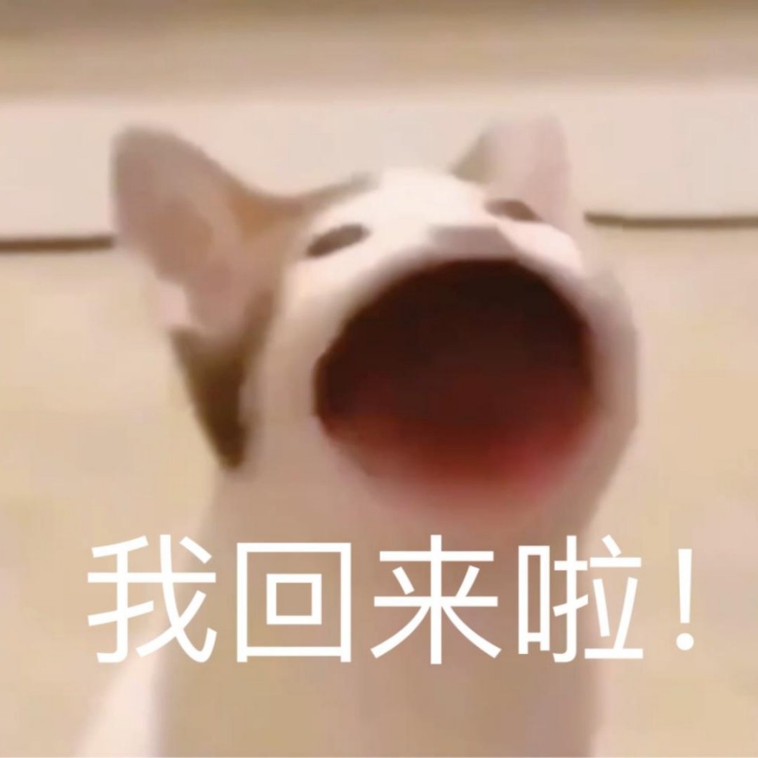 大家晚上吃点嘛？