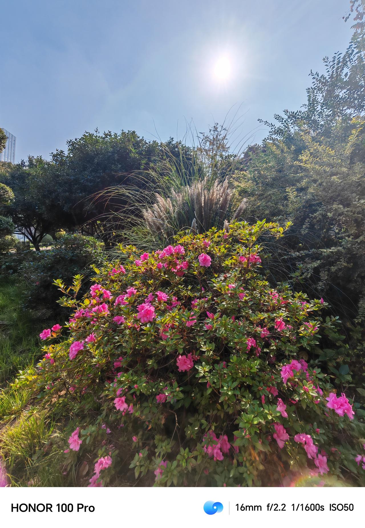 汽车征文终于完成了，完全没有流量全靠互动，感谢搭子们，非常给力 ，下次征文再见！