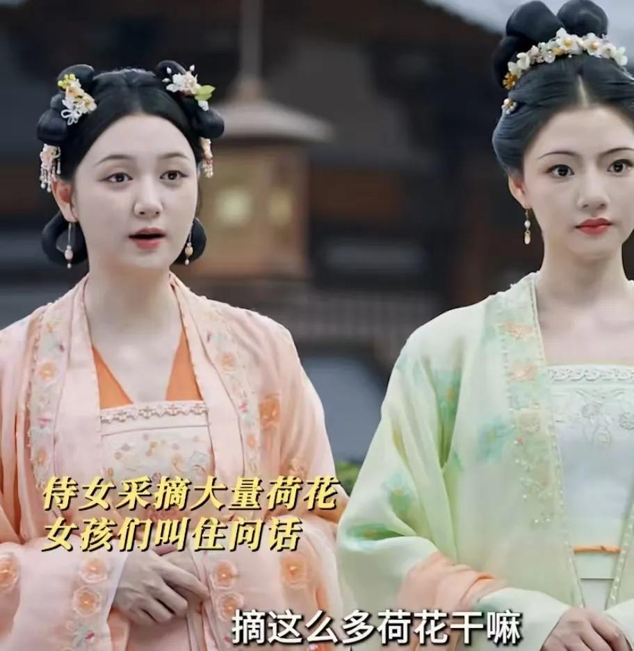 《锦绣安宁》
罗宜宁从侍女口中得知姐姐要荷花，她暗中调查发现姐姐有了心上人，她来