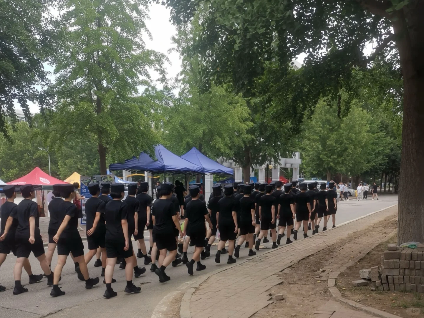 网友问：中央司法警官学院涉警专业及司法警