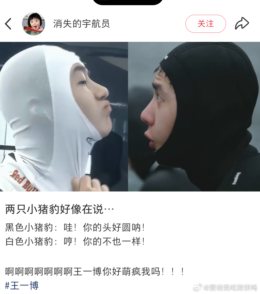 小猪咪