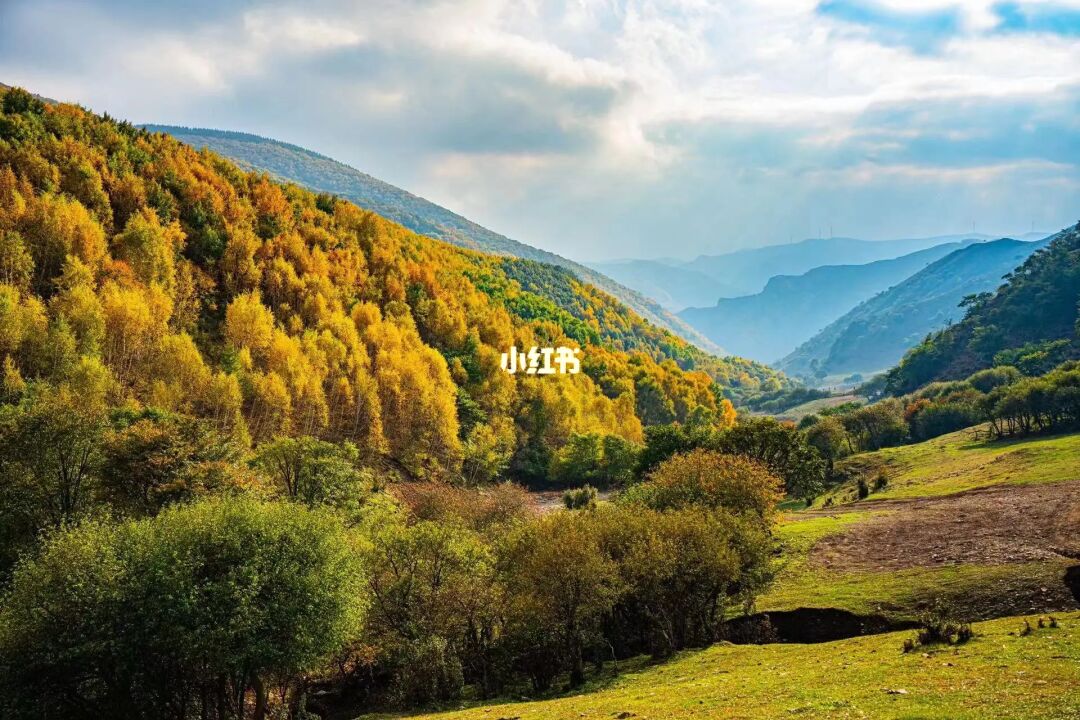 秋季不可错过的美景，老掌沟！