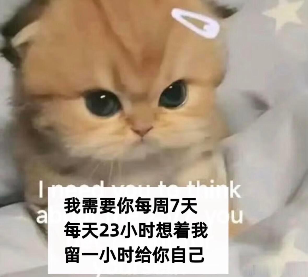 继续加油内