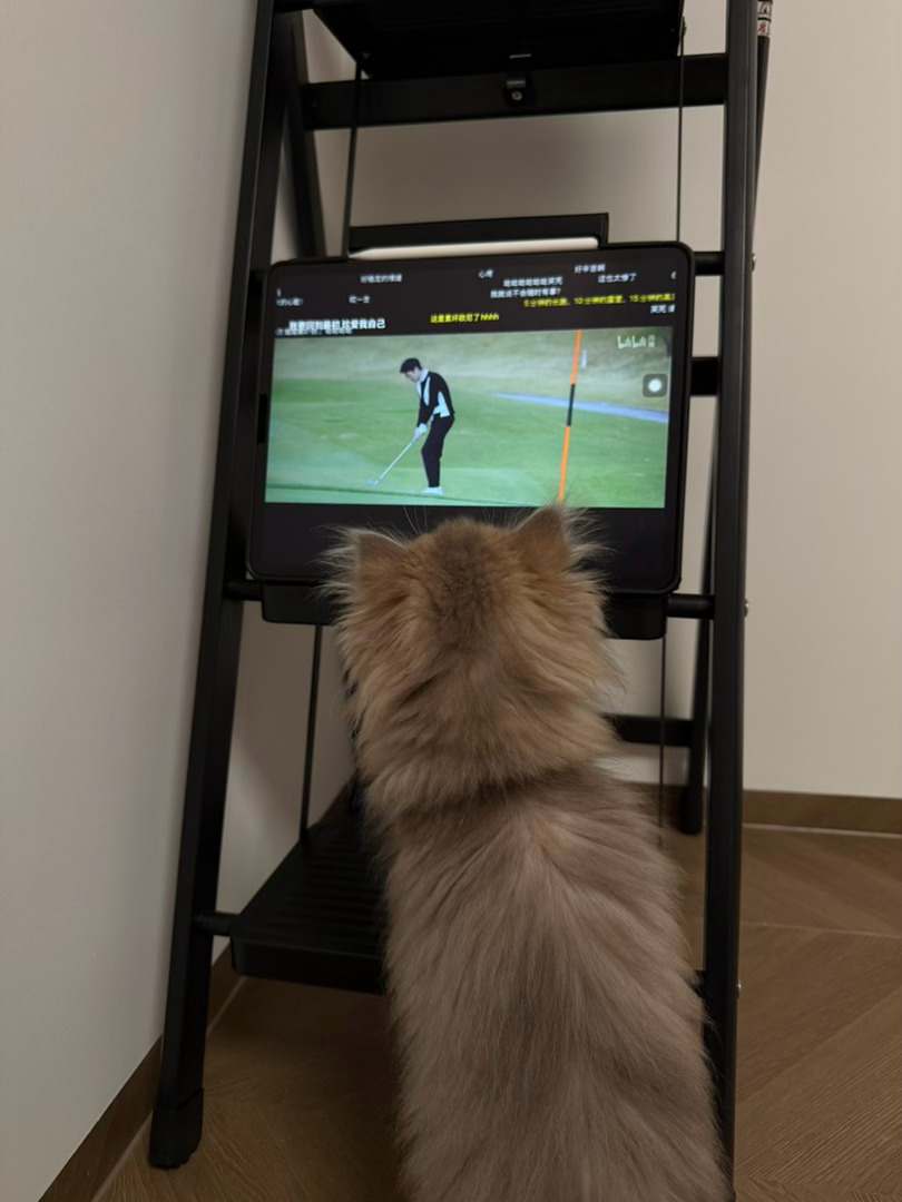 忘记了自己的一些 春节后的日常 