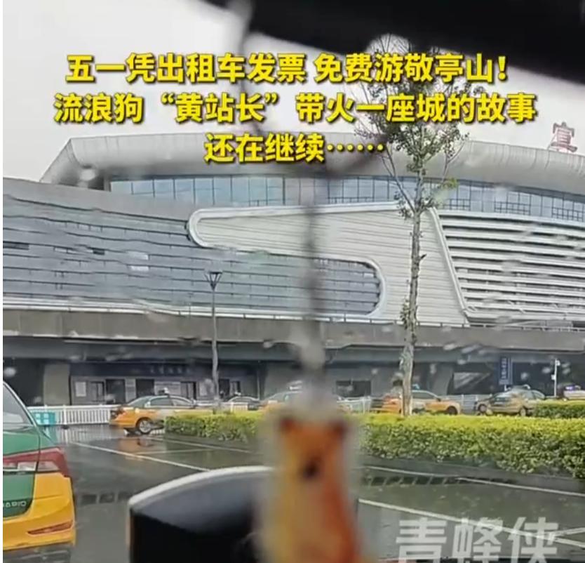 一座城市最好的名片，是一张皱巴巴的捐款单
当你还在争论该不该喂流浪狗时，安徽宣城
