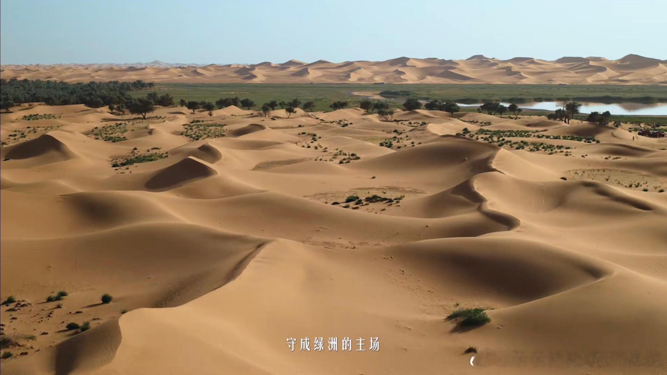 陪孩子看世界杯集锦，他问我：“防守的人为什么就站在那里不动？”我一时语塞。直到看