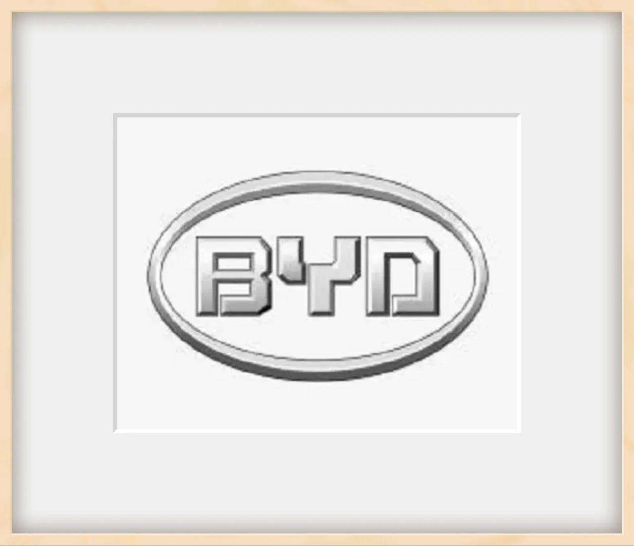 BYD另类新翻译：Be Your Dad 
（工业严父）。