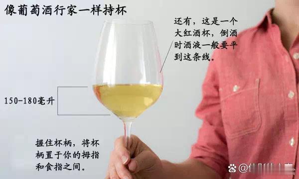 你比一个英国女王还懂贵族礼仪吗？看看女王咋喝葡萄酒的🍷 