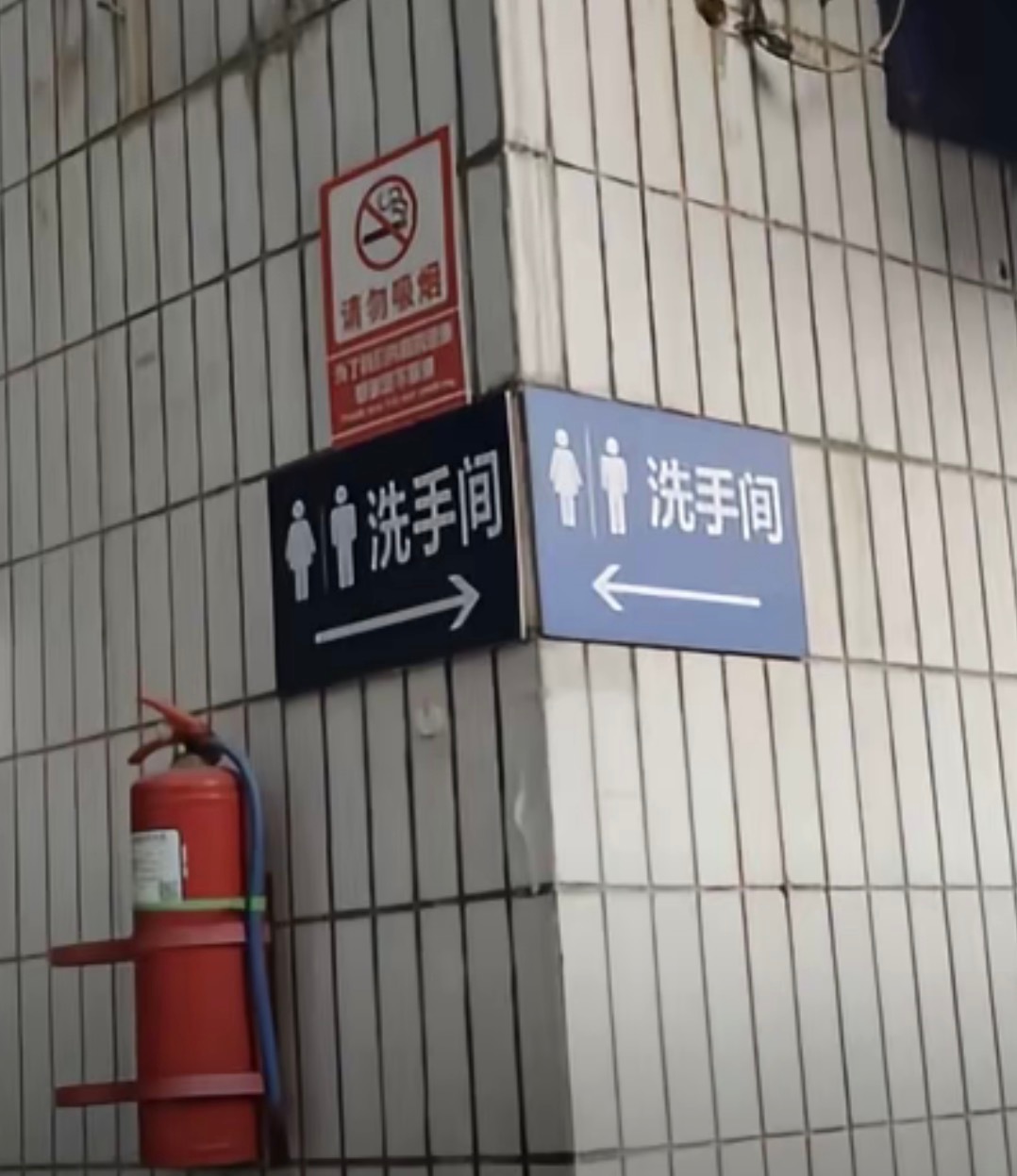 寻厕记 
