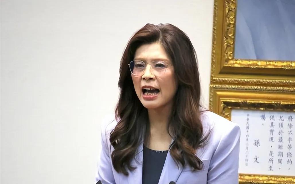 郑丽文启程访陆，公开喊话赖清德，陪同郑主席访陆人员不简单，郑丽文用行动证明，交流