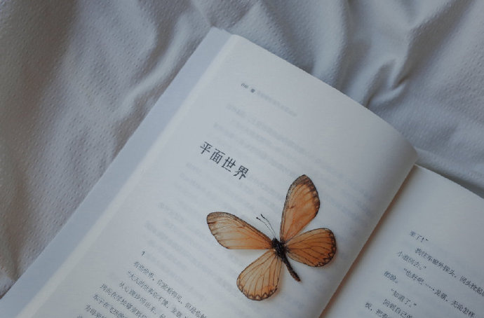 -                没有不劳而获的工作   更没有坐享其成的收获 