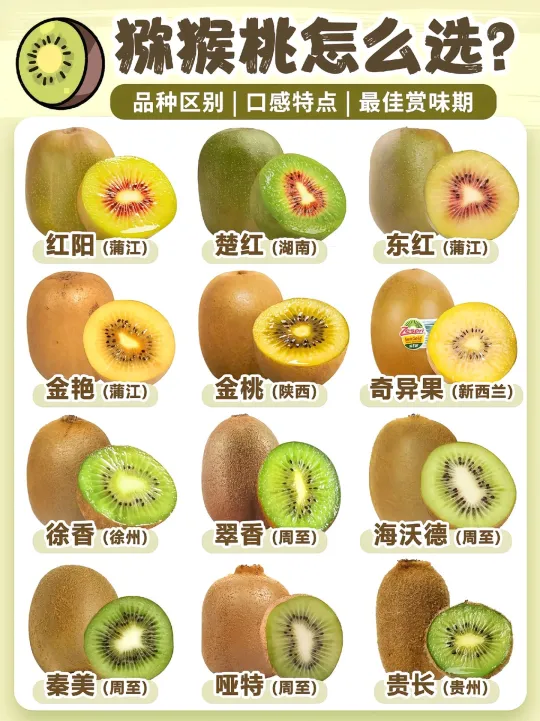 🍀猕猴桃选购指南 | 12款品种大揭秘
