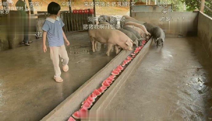 太过分了，你们这样干，有想过某发达国家国民的感受吗？

人家连我们不吃西瓜皮都有