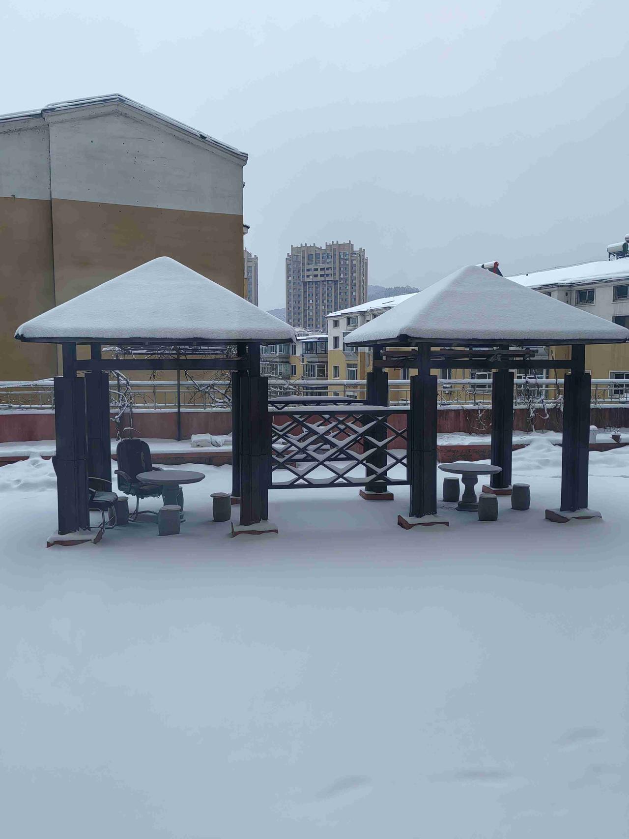 我的今日状态：😁轻松愉快
我这里的天气：❄️下雪

雪落人间
 
清晨推开窗，