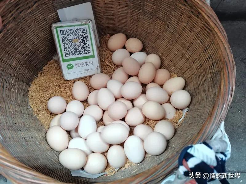 你怎么看街头“扫码送鸡蛋”的套路 街头“扫码送鸡蛋”就是妥妥的陷阱啊！骗子常守在