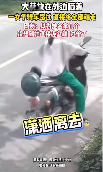监控拍下全程！河南女子路过农户家门口，连盆带蒜一锅端，网友：这操作太绝了

20
