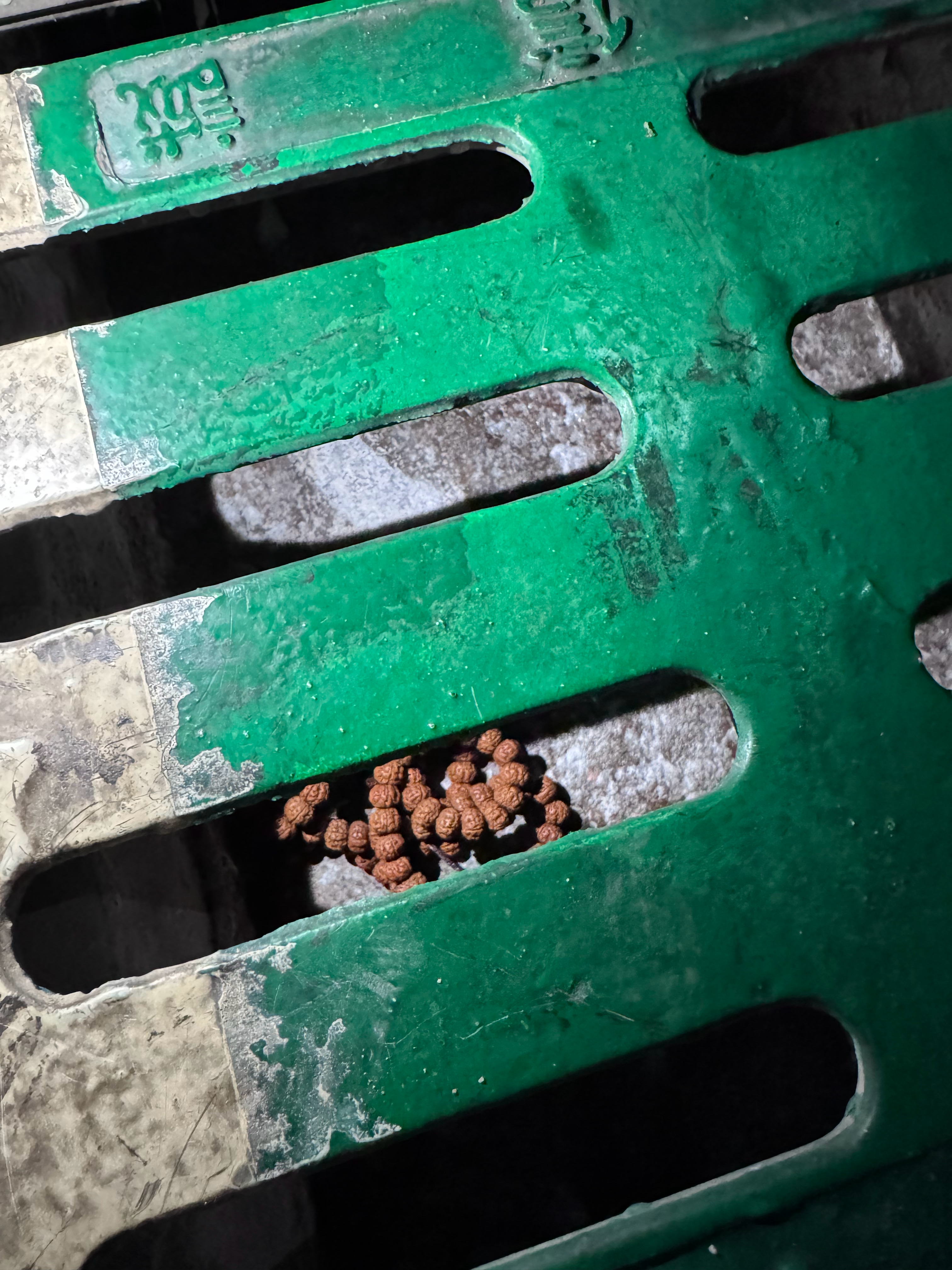 停完车下来，刺啦一声，串掉里头了，只能说这串真润啊，服了 深圳