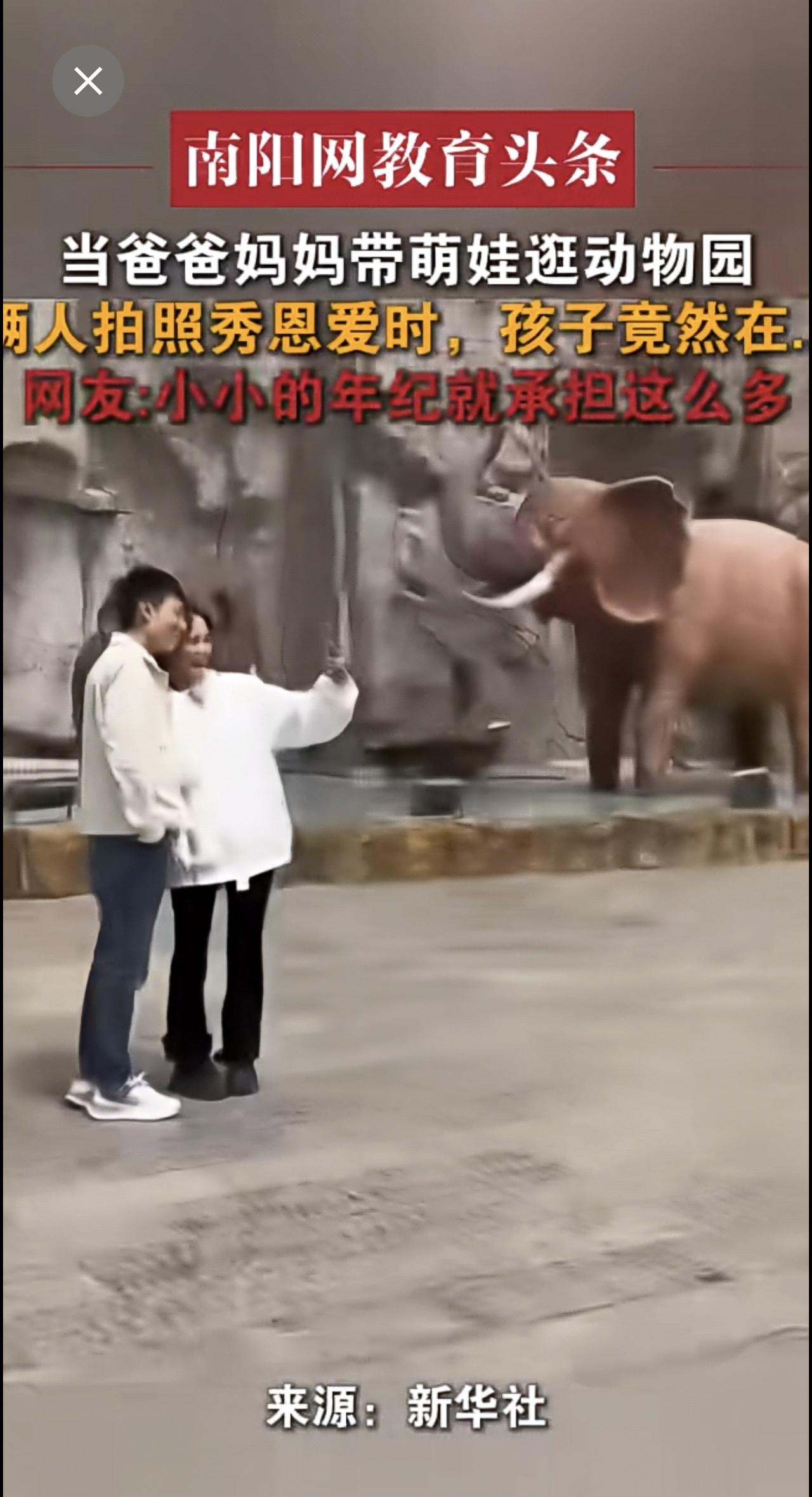 当爸爸妈妈带萌娃逛动物园，俩人拍照秀恩爱时，孩子竟然在...
 网友:小小的年纪