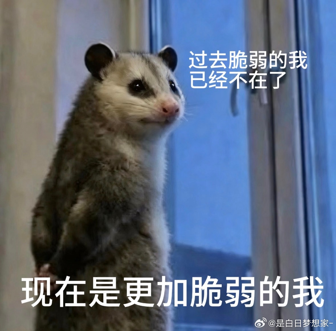 我的红v怎样还不回来