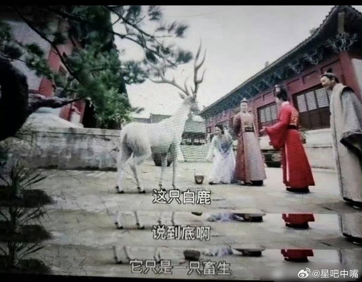 这是哪部电视剧的截图啊？好想去看看是不是真的？