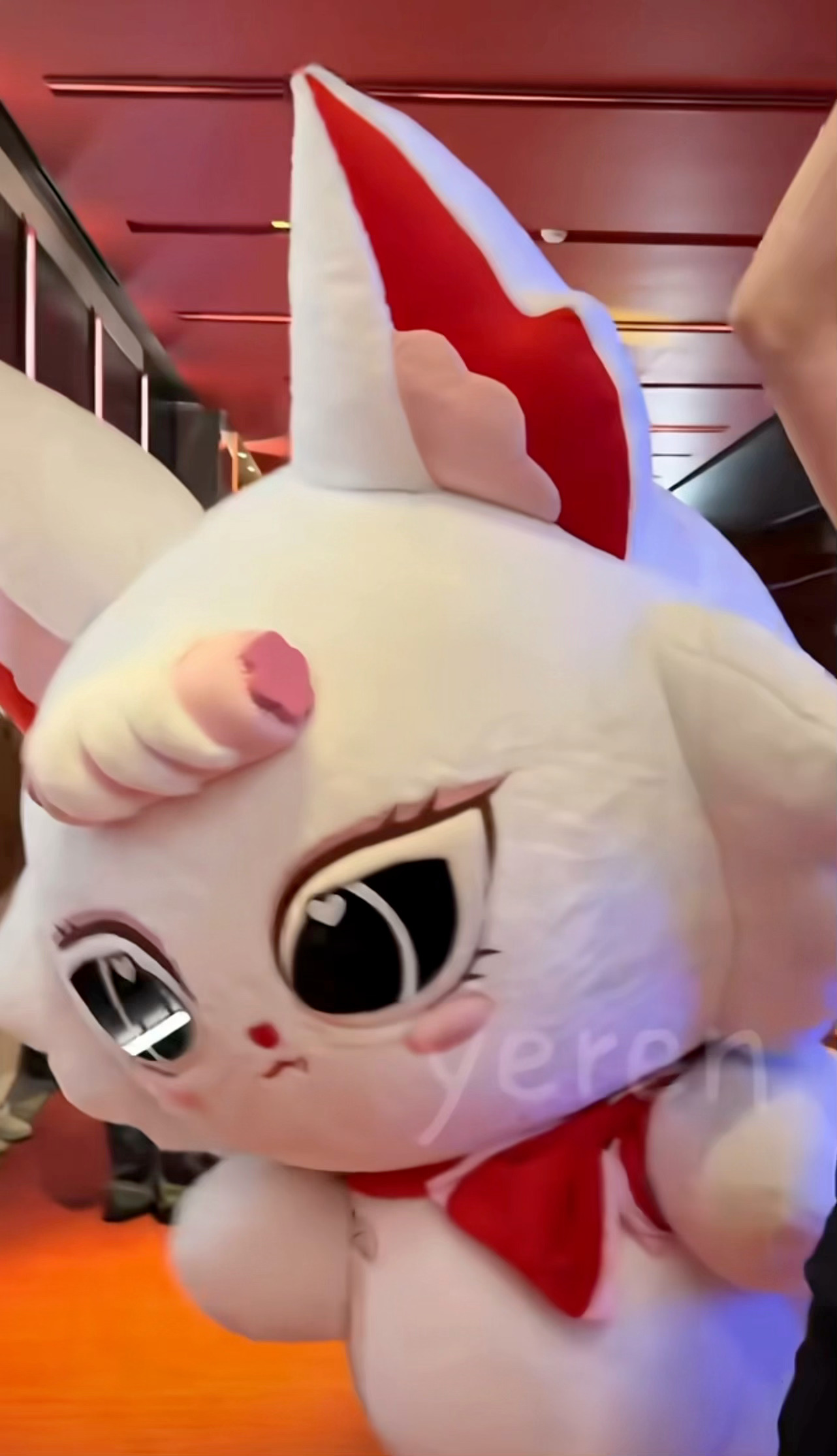 新手妈妈饭撒的时候完全不带大猪，大猪： 