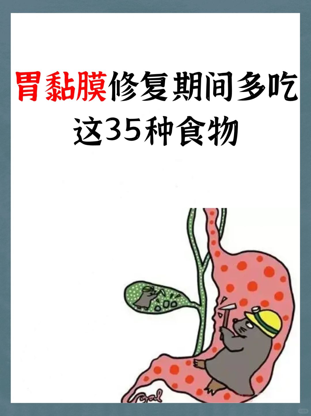 胃粘膜修复期间多吃这35种食物