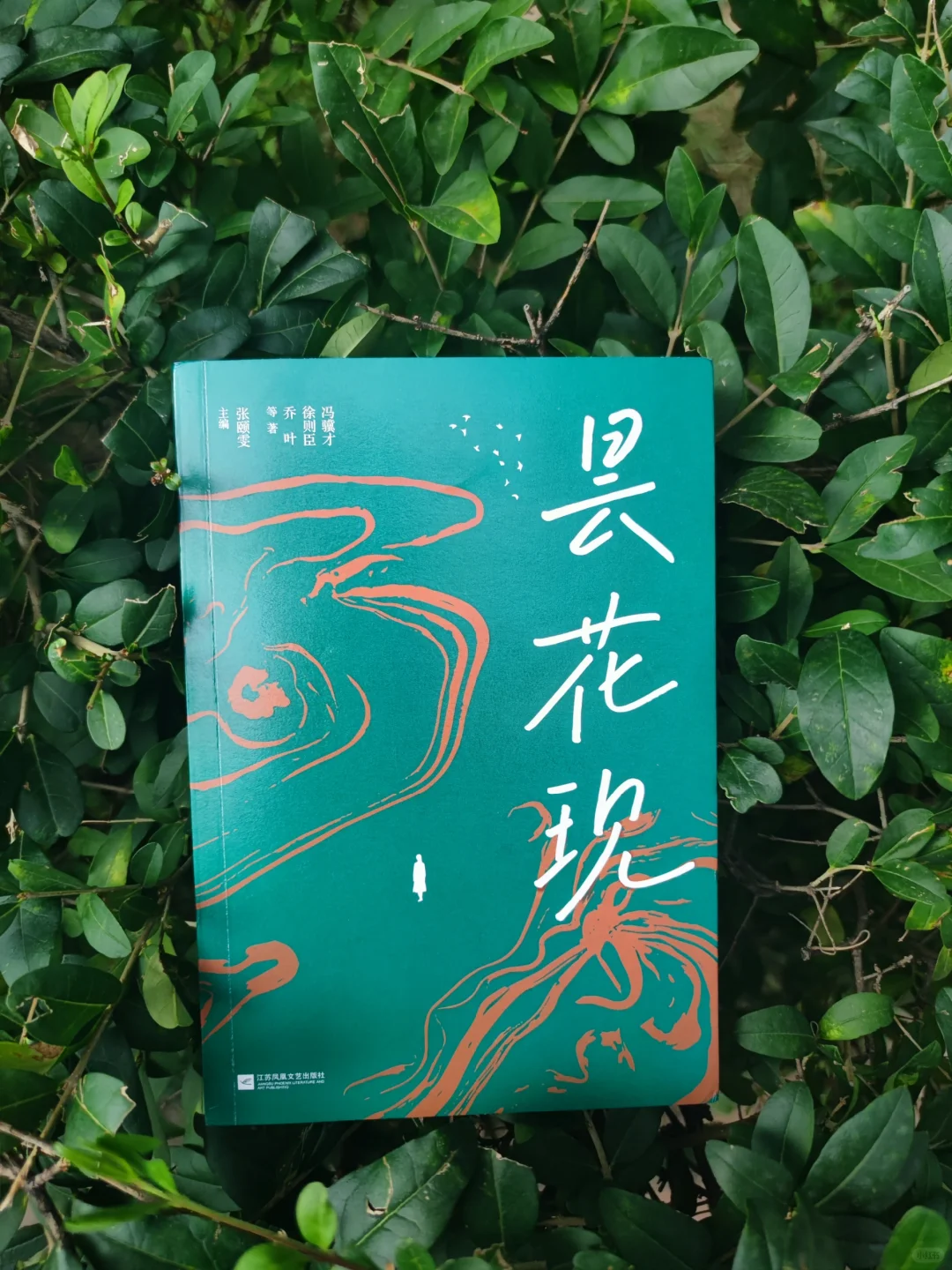 《昙花现》：新老小说家齐聚一堂的巅峰之作