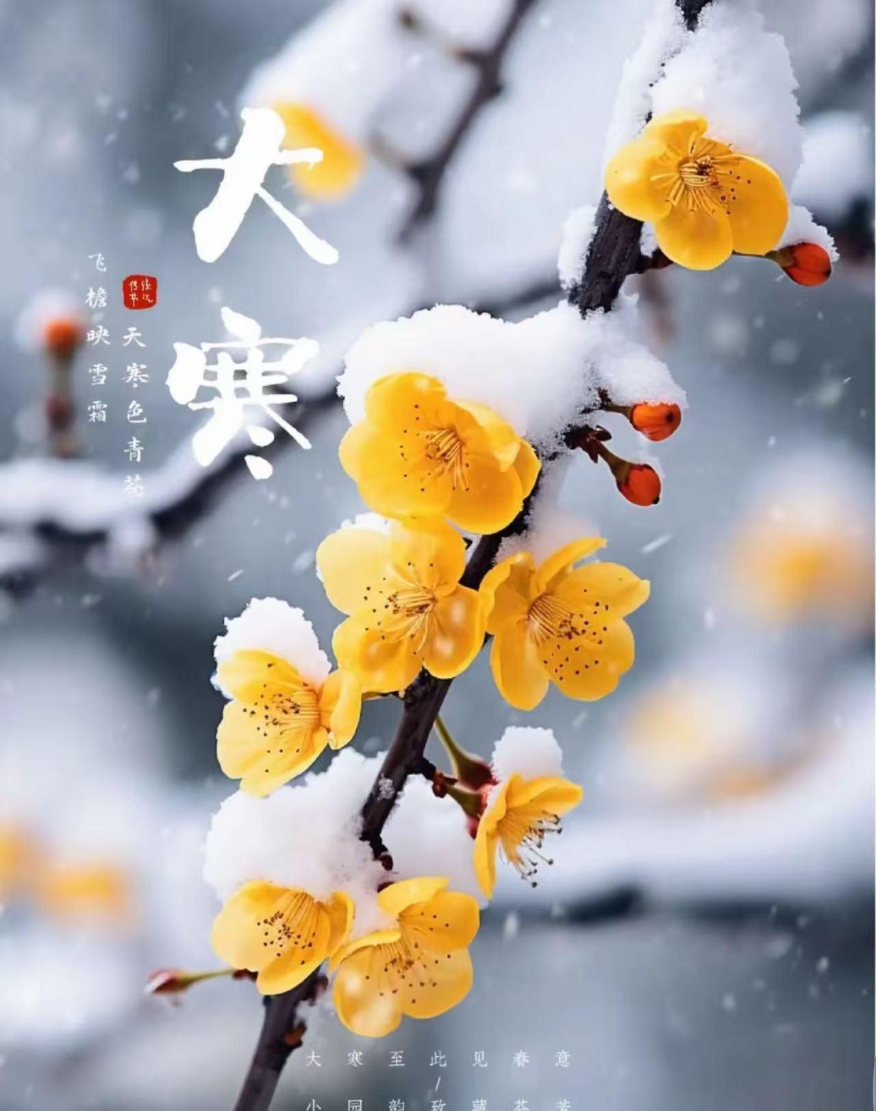 鹤冲天·今日大寒
 文/李明敬

寒凝嶂秀，冰锁江河皱。征鸟厉腾飞，彰云岫。水泽