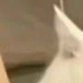 每日一善  每日一善 日行一善，贵在坚持。一个微笑、一次让座，或随手捡起垃圾，都