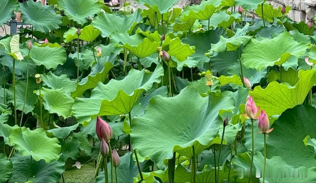 ❤️选择没有对错，营销一路前行，带着破绽去行动，而非抱着完美去批判，不必惧怕结果