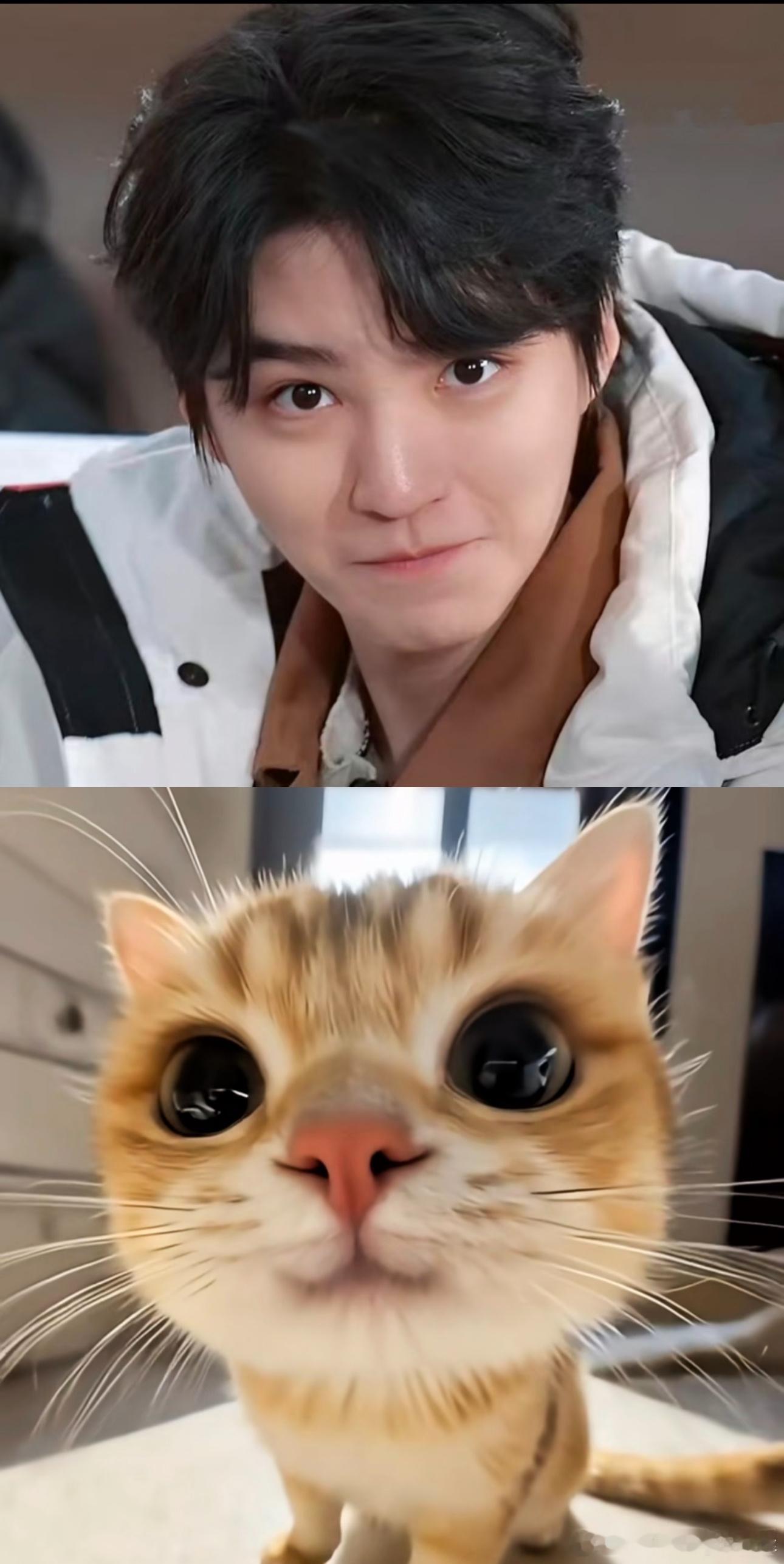 存了一些图，真的是小猫本猫来的。王俊凯中餐厅10 图来源：cr蟹黄沙琪玛K 