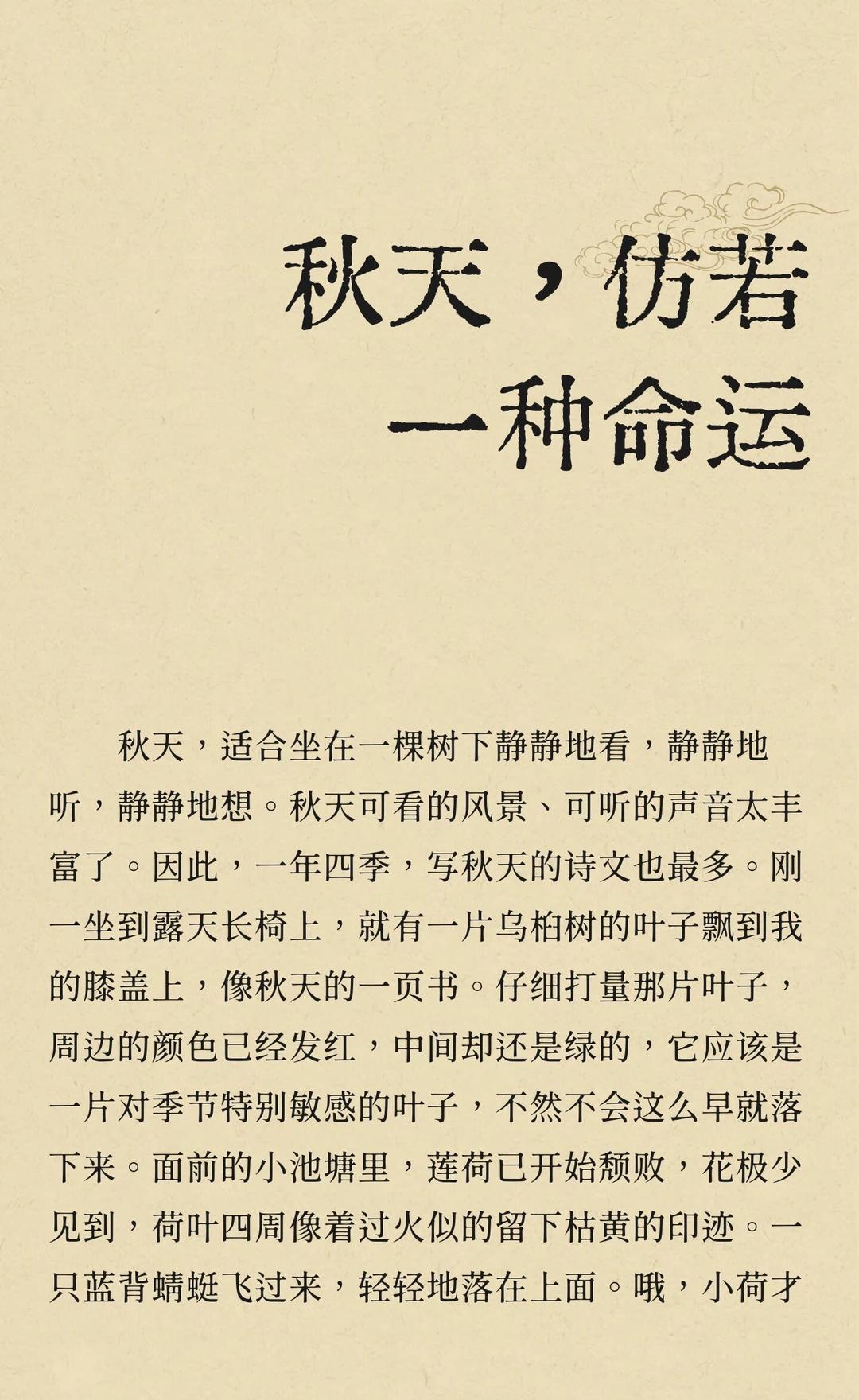 秋天，仿若一种命运
秋天是生命的季节，树叶飘落，荷叶衰败，一切都显得格外静谧。它