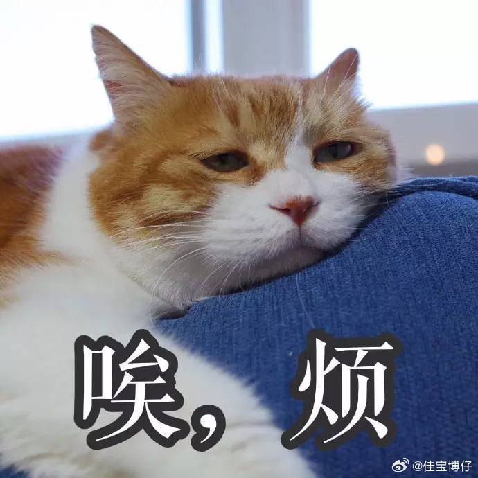 不同分数填志愿时的家长belike分数不算突出也不用焦虑，挑选特色优势专业，找准