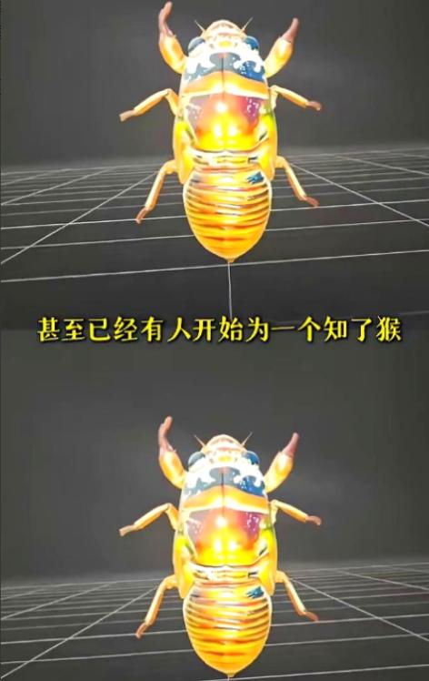 山东抓知了猴的这批人最近估计快要崩溃了，他们千算万算，也没算到能碰上科技感拉满的