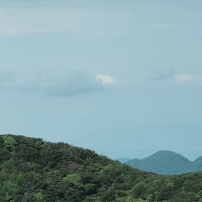 每日一善 种子在黑暗里沉默，不是屈服于泥土的重量，而是在酝酿顶开石缝时那一瞬间的