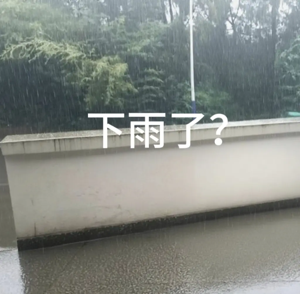 你像下过的一场雨来过又走