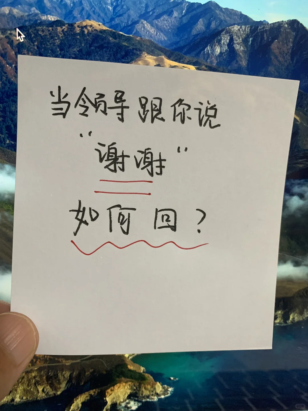 领导说:收到 谢谢 如何回才能掌握主动权⁉️